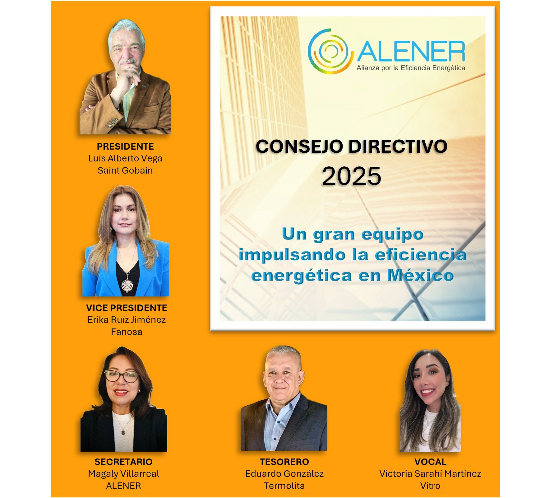Consejo-Directivo-ALENER-2025